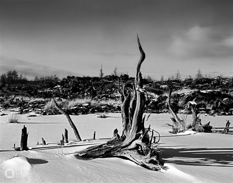 北方的雪——金建国黑白摄影作品展 金建国 北方 作品展 作者 简介 辽宁 凌源 管理学 博士 教授级 崇真艺客