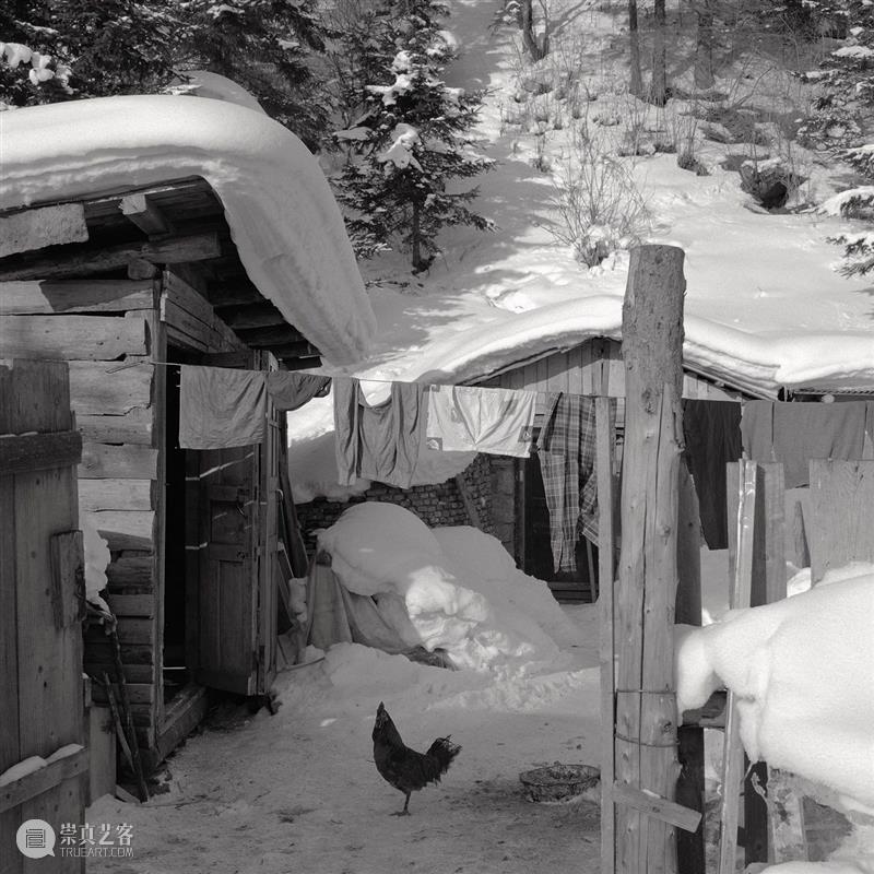 北方的雪——金建国黑白摄影作品展 金建国 北方 作品展 作者 简介 辽宁 凌源 管理学 博士 教授级 崇真艺客