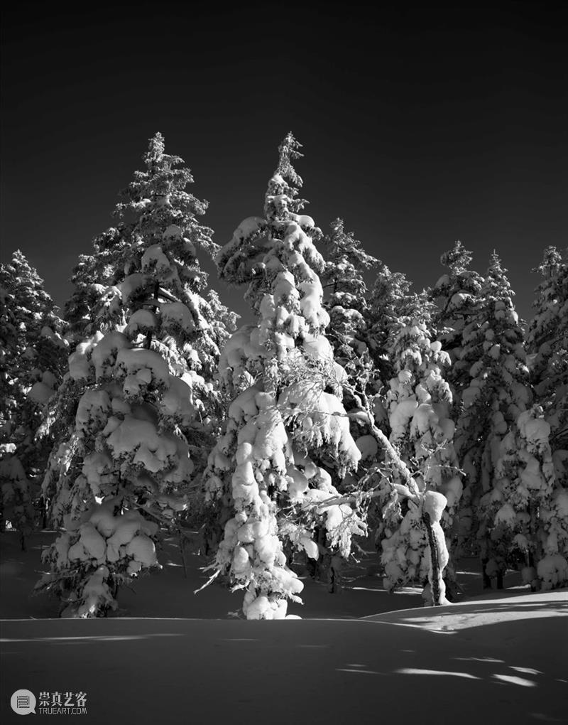 北方的雪——金建国黑白摄影作品展 金建国 北方 作品展 作者 简介 辽宁 凌源 管理学 博士 教授级 崇真艺客