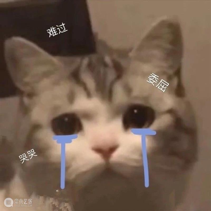 国产片《街娃儿》入围戛纳​；《白蛇2：青蛇劫起》定档 街娃儿 戛纳 白蛇2：青蛇劫起 国产片 影视 好剧 小豆 资讯 豆瓣 电影 崇真艺客