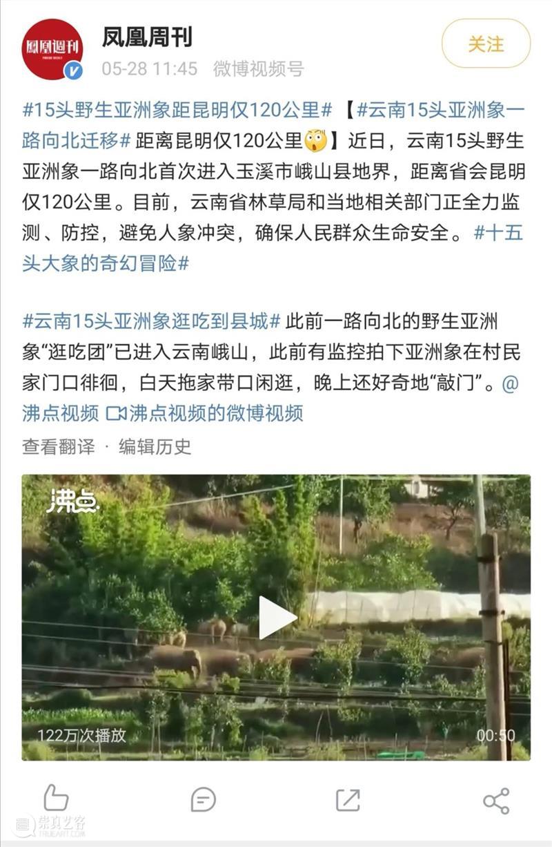 大象,大象,你们去哪里呀? 大象 云南 新闻 农田 经济损失 截图 微博 此事 网络 主播 崇真艺客