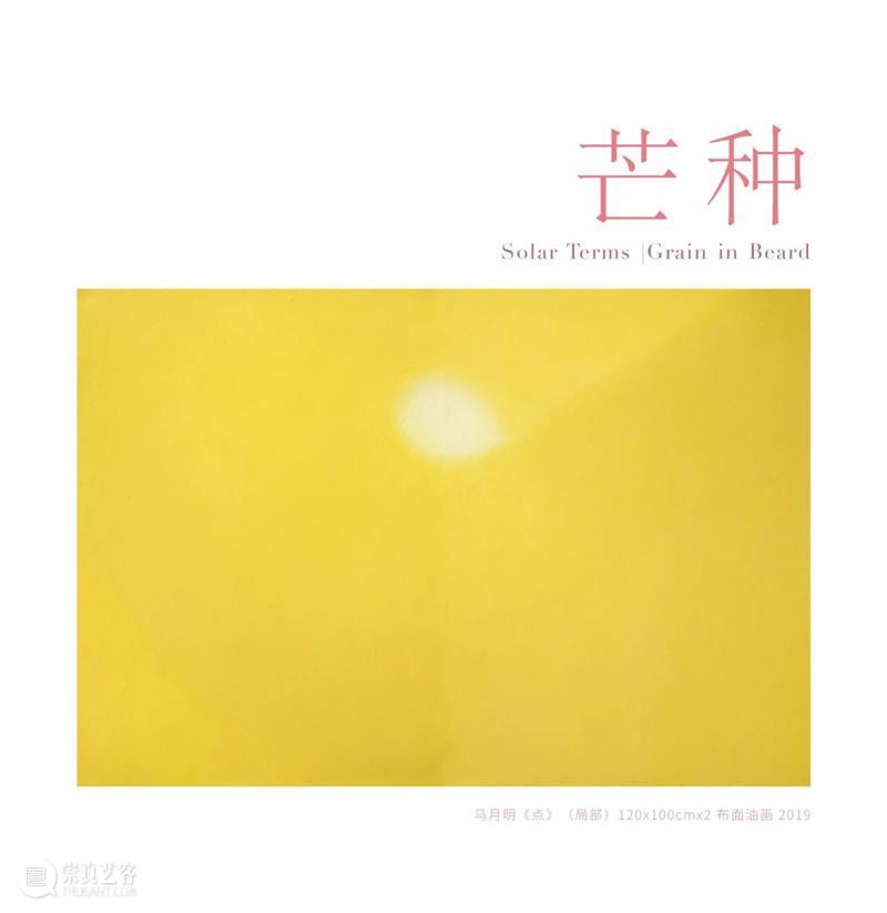芒种｜水田泛出一片橙黄 水田 二十四节气 节气 一个梦 泥土 种子 田埂 朋友 稻穗 妈妈 崇真艺客