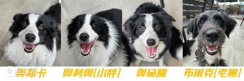 招聘｜光影百年·魔法师·幻鲨文化｜影视创意策划/执行导演/项目经理/原画师/分镜、三维设计师/角色动画师/HOUDINI特效…… 光影 魔法师 三维设计师 项目 分镜 角色 经理 画师 动画师 特效 崇真艺客