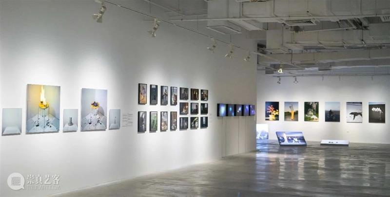 【明日开幕】2021无界艺术展 | 三影堂厦门 无界 艺术展 厦门 三影堂 创始人 艺术家 荣荣 嘉宾 陈萧伊 李舜 崇真艺客