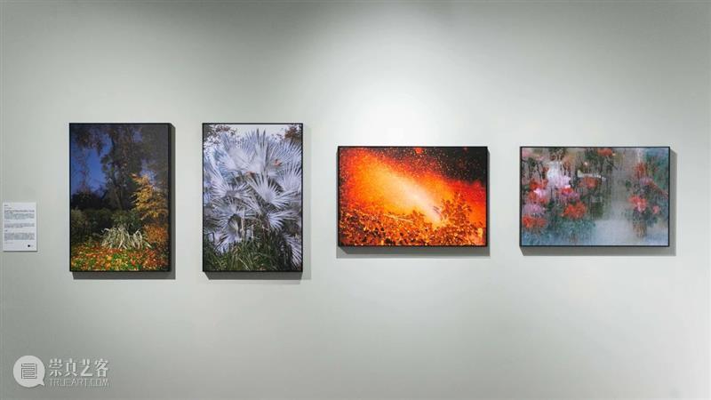 【明日开幕】2021无界艺术展 | 三影堂厦门 无界 艺术展 厦门 三影堂 创始人 艺术家 荣荣 嘉宾 陈萧伊 李舜 崇真艺客