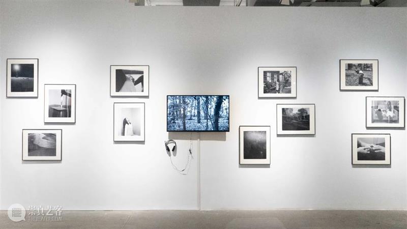 【明日开幕】2021无界艺术展 | 三影堂厦门 无界 艺术展 厦门 三影堂 创始人 艺术家 荣荣 嘉宾 陈萧伊 李舜 崇真艺客