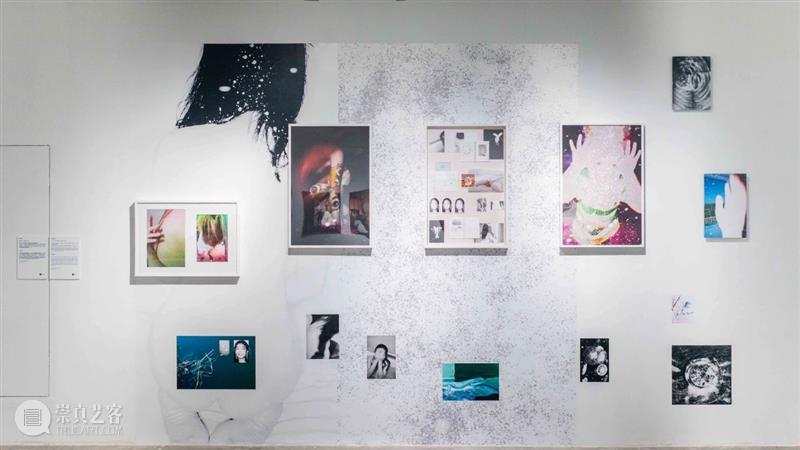 【明日开幕】2021无界艺术展 | 三影堂厦门 无界 艺术展 厦门 三影堂 创始人 艺术家 荣荣 嘉宾 陈萧伊 李舜 崇真艺客