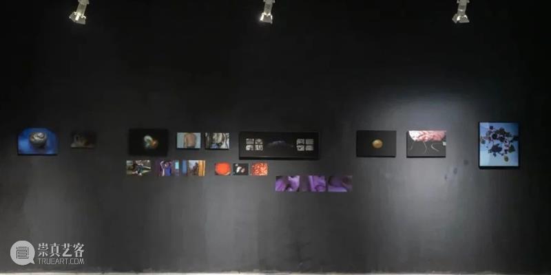 【明日开幕】2021无界艺术展 | 三影堂厦门 无界 艺术展 厦门 三影堂 创始人 艺术家 荣荣 嘉宾 陈萧伊 李舜 崇真艺客