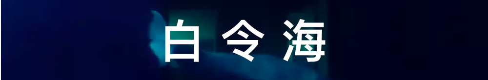 共生 |两个月搭上了皇家艺术学院的末班车 末班车 皇家艺术学院 刘同学 木格 时间 RCA 专业 硕士 offer 同学 崇真艺客