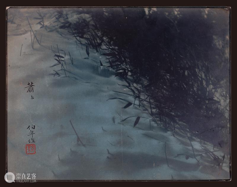 展览 | 专业余·出现代：骆伯年与同代影人1930-1940s 专业 现代 骆伯年 影人 MODERNITY 艺术家 胡伯翔 胡君磊 黄仲长 金石声 崇真艺客
