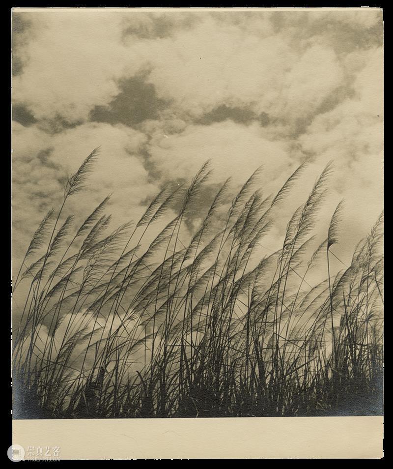 展览 | 专业余·出现代：骆伯年与同代影人1930-1940s 专业 现代 骆伯年 影人 MODERNITY 艺术家 胡伯翔 胡君磊 黄仲长 金石声 崇真艺客