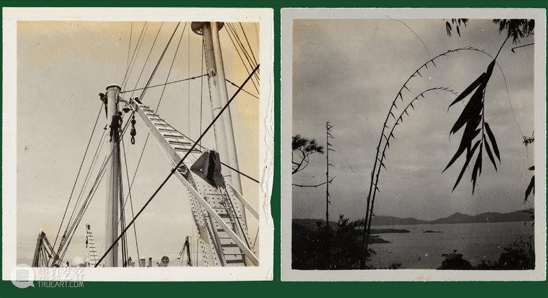 展览 | 专业余·出现代：骆伯年与同代影人1930-1940s 专业 现代 骆伯年 影人 MODERNITY 艺术家 胡伯翔 胡君磊 黄仲长 金石声 崇真艺客