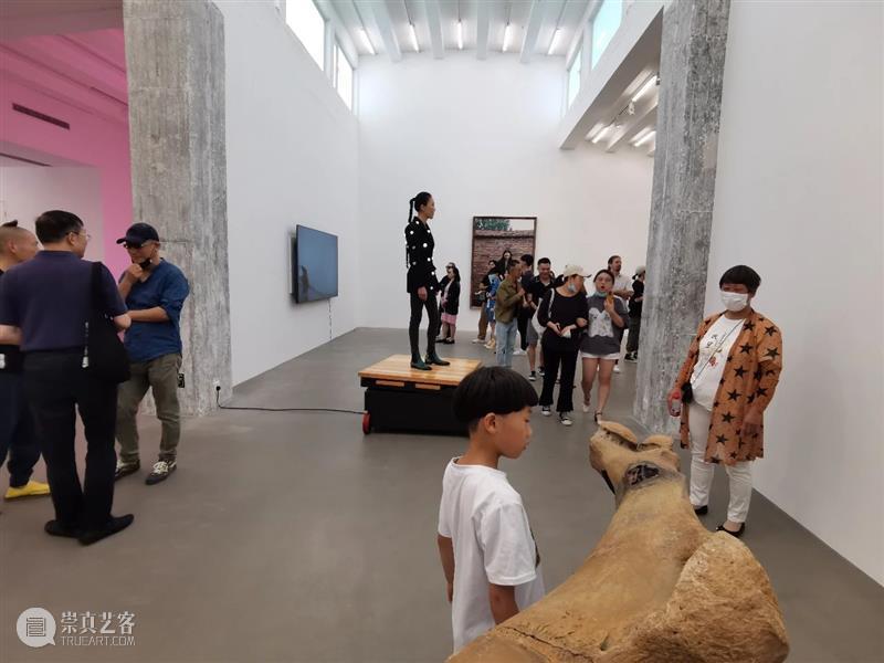 【展览现场】曹雨：路过人间 现场 曹雨 人间 View Opening 崇真艺客