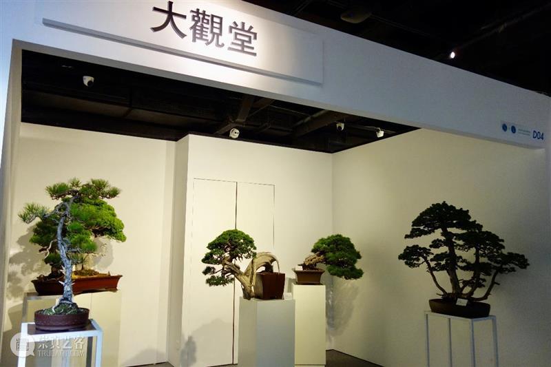 首届圣佳艺术博览会圆满落幕，明日下午13:30磁臻③专题拍卖会正式举槌！ 专题 拍卖会 首届圣佳艺术博览会 首届圣佳艺术博览 圣佳 艺术 空间 中贸圣佳2021 佳期 磁臻 崇真艺客