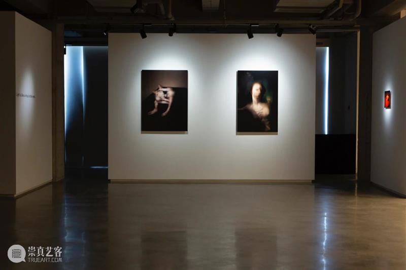安托万·达加塔个展《生命原相》正式开幕 安托万 达加塔 个展 生命原相 开幕式 花絮 艺术家 Antoine Agata 中法文化之春 崇真艺客