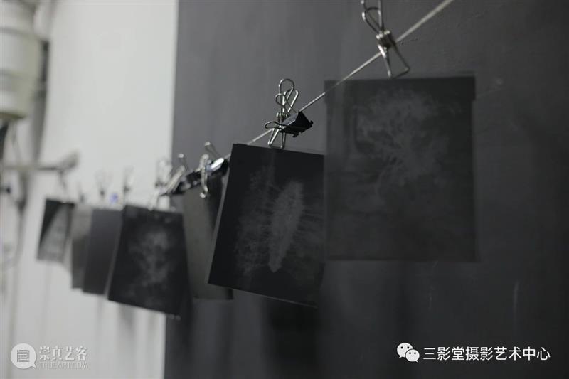 大画幅体验课2.0 | 三影堂厦门 画幅 厦门 爱好者 相机画幅 问题 许多初学者 现代 数码相机 世界上 相机 崇真艺客