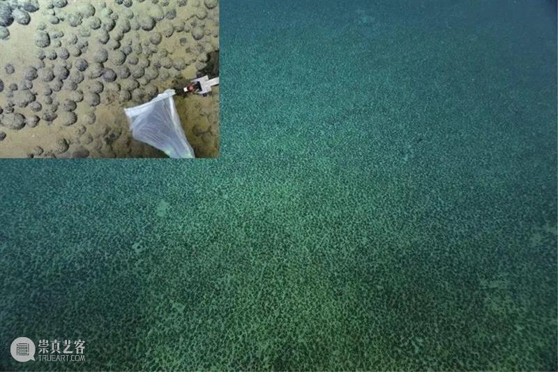 上双 · 论坛 | 踏浪远行：可持续的海洋 6/12（周六） 踏浪 海洋 论坛 时间 地点 上海当代艺术博物馆 剧场 嘉宾 周怀阳 任文伟 崇真艺客