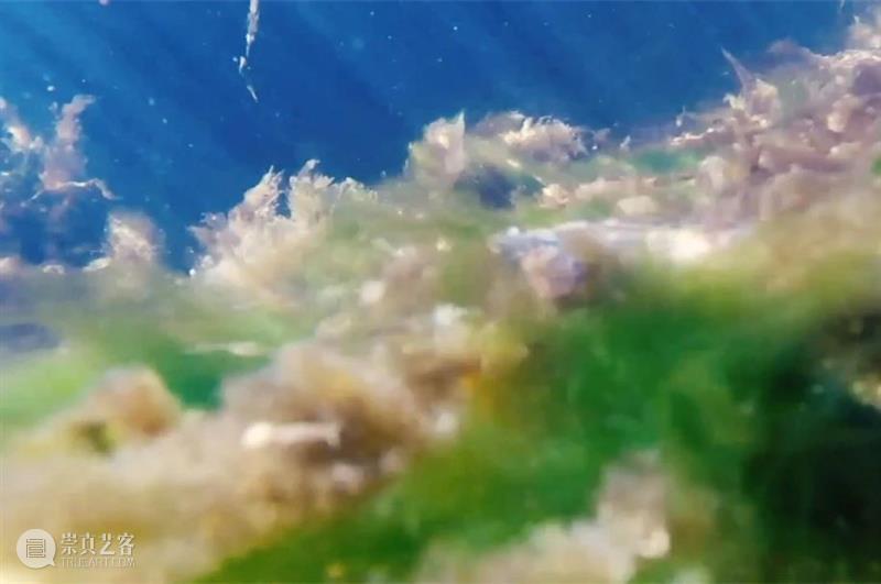 上双 · 论坛 | 踏浪远行：可持续的海洋 6/12（周六） 踏浪 海洋 论坛 时间 地点 上海当代艺术博物馆 剧场 嘉宾 周怀阳 任文伟 崇真艺客