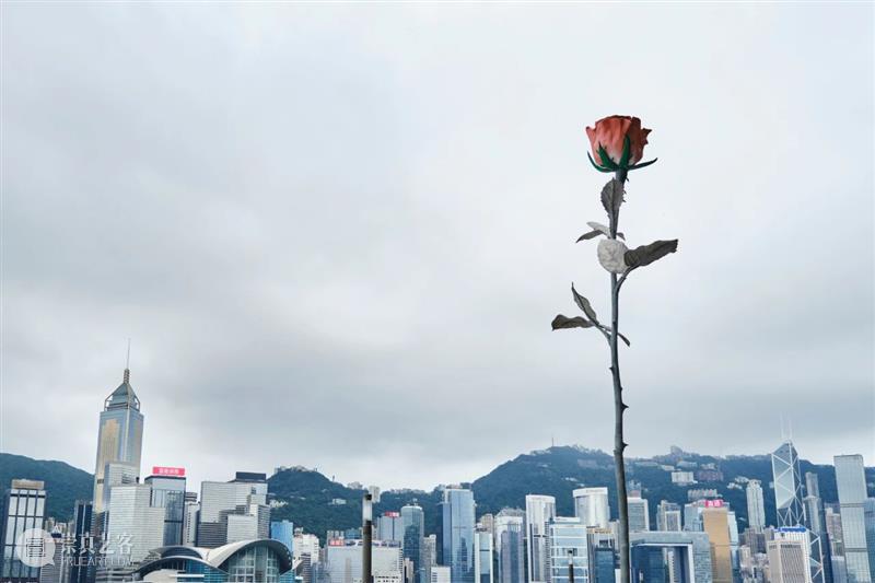 香港 K11 Musea｜伊萨·根泽肯（Isa Genzken）《玫瑰 II》大型公共展示  卓纳画廊DavidZwirner 伊萨 根泽 Isa Genzken 玫瑰 香港 不锈钢 地点 Musea 日期 崇真艺客