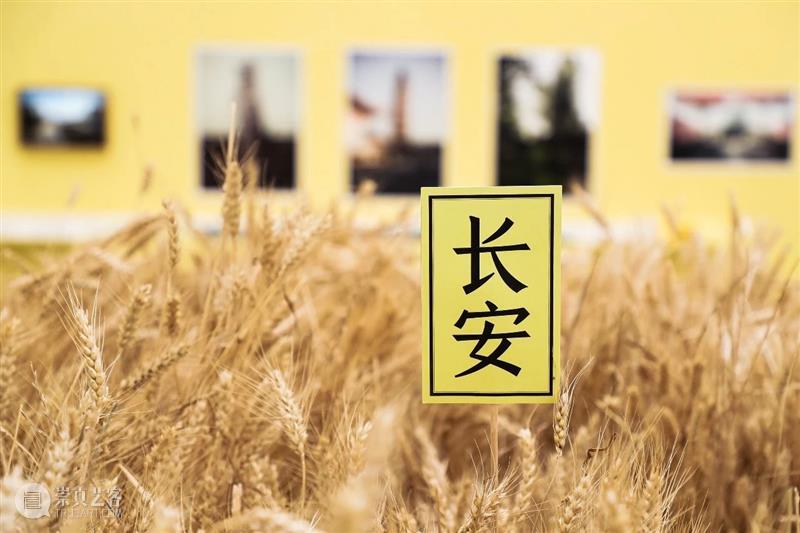 活动提醒 ｜ “展签背后：一次在场调查”即将开始！ 展签 背后 活动 西安 时间 地点 沣河东路西 咸沣东文化中心 多功能厅 OCAT 崇真艺客