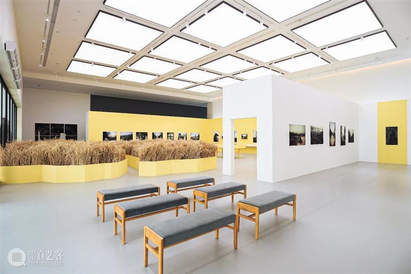 活动提醒 ｜ “展签背后：一次在场调查”即将开始！ 展签 背后 活动 西安 时间 地点 沣河东路西 咸沣东文化中心 多功能厅 OCAT 崇真艺客
