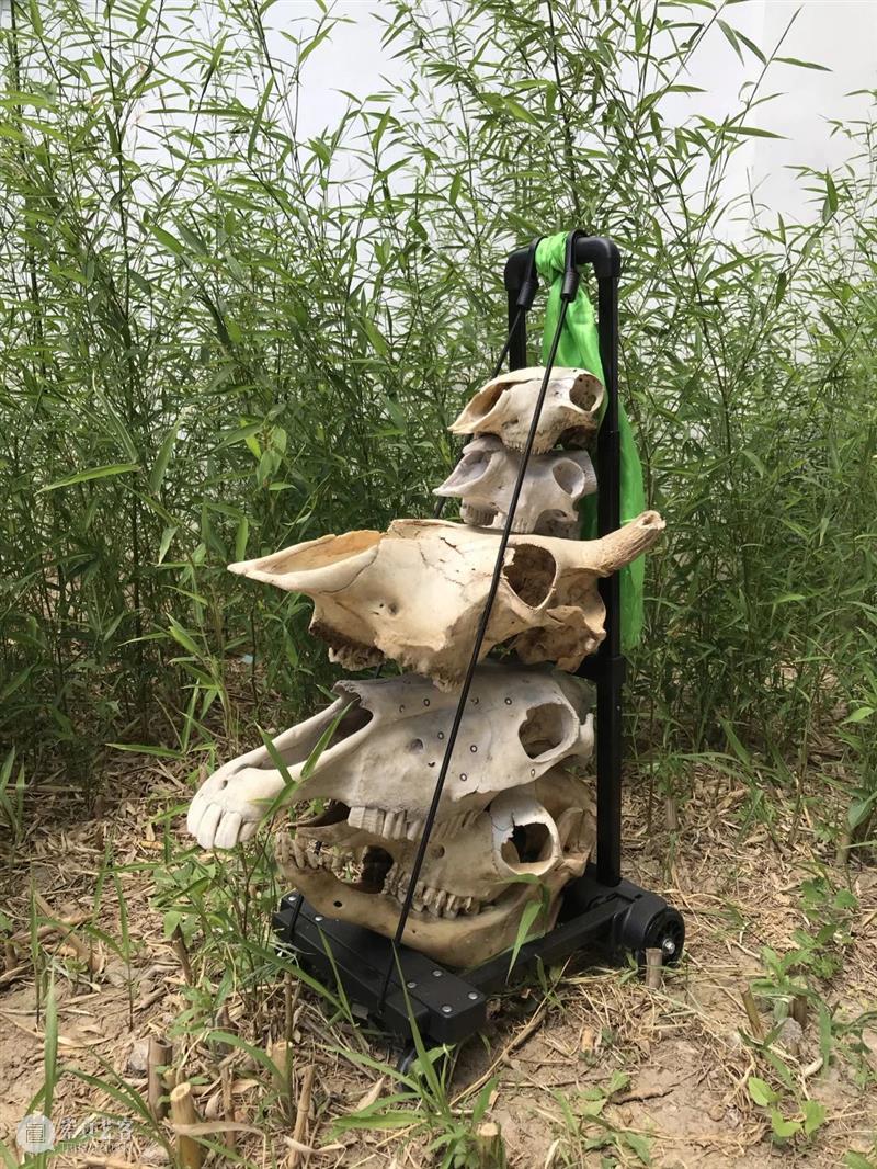 一个游牧空间和七位与内蒙古有关的艺术家 崇真艺客