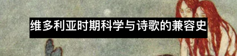 十九世纪真实的约会广告 广告 约会 Ranker 利维坦 概率 男女 双方 阶层 婚后生活 婚姻 崇真艺客