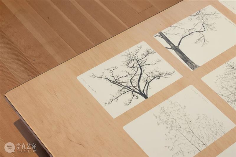 ≡ 郑波 | 个展“万物社” | 柏林格罗皮乌斯博物馆  马凌画廊EdouardMalingueGallery 个展 万物 郑波 柏林格罗皮乌斯博物馆 图片 格罗皮乌斯 博物馆 Gropius Bau Exhibition 崇真艺客