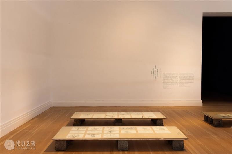 ≡ 郑波 | 个展“万物社” | 柏林格罗皮乌斯博物馆  马凌画廊EdouardMalingueGallery 个展 万物 郑波 柏林格罗皮乌斯博物馆 图片 格罗皮乌斯 博物馆 Gropius Bau Exhibition 崇真艺客