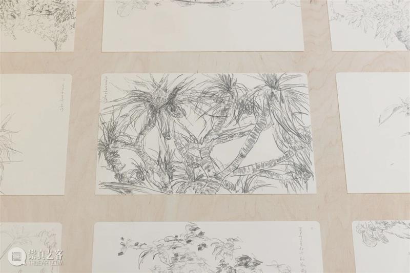 ≡ 郑波 | 个展“万物社” | 柏林格罗皮乌斯博物馆  马凌画廊EdouardMalingueGallery 个展 万物 郑波 柏林格罗皮乌斯博物馆 图片 格罗皮乌斯 博物馆 Gropius Bau Exhibition 崇真艺客
