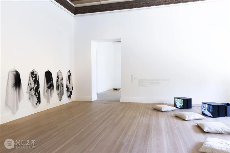 ≡ 郑波 | 个展“万物社” | 柏林格罗皮乌斯博物馆  马凌画廊EdouardMalingueGallery 个展 万物 郑波 柏林格罗皮乌斯博物馆 图片 格罗皮乌斯 博物馆 Gropius Bau Exhibition 崇真艺客