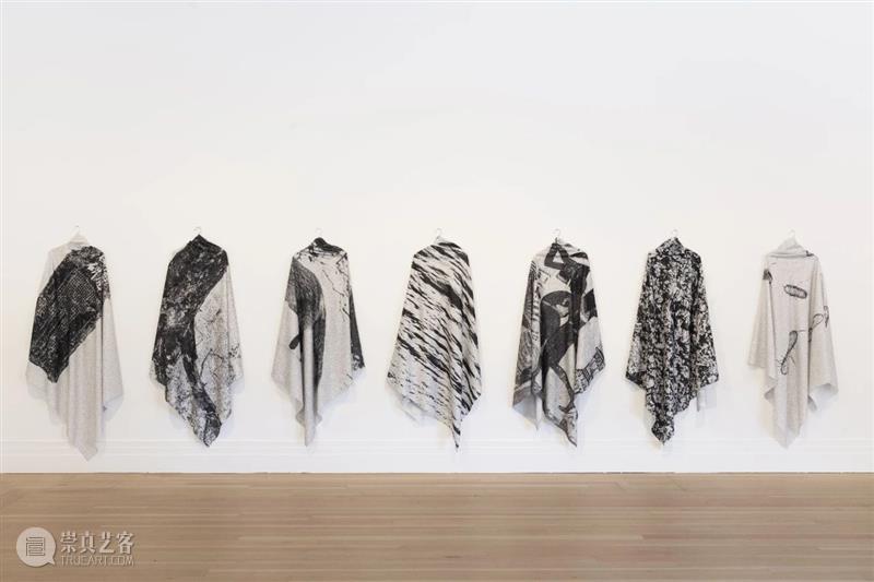 ≡ 郑波 | 个展“万物社” | 柏林格罗皮乌斯博物馆  马凌画廊EdouardMalingueGallery 个展 万物 郑波 柏林格罗皮乌斯博物馆 图片 格罗皮乌斯 博物馆 Gropius Bau Exhibition 崇真艺客
