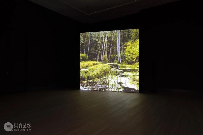 ≡ 郑波 | 个展“万物社” | 柏林格罗皮乌斯博物馆 马凌画廊EdouardMalingueGallery 个展 万物 郑波 柏林格罗皮乌斯博物馆 图片 格罗皮乌斯 博物馆 Gropius Bau Exhibition 崇真艺客