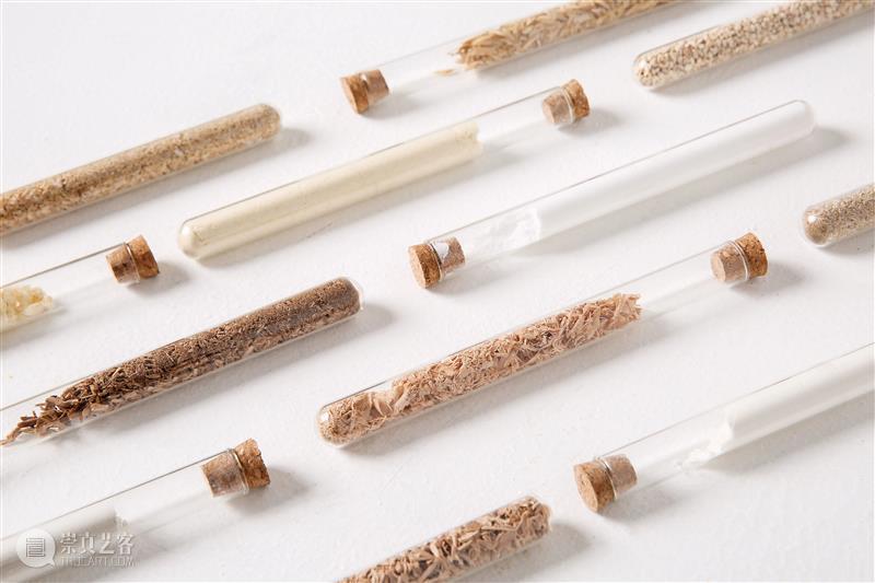 2021中国可持续设计大奖获奖作品|默然滋长:真菌复合材料性能研究与设计应用 大奖 中国 作品 真菌 复合材料 性能 北京当代艺术基金会 BCAF 国际 机构 崇真艺客