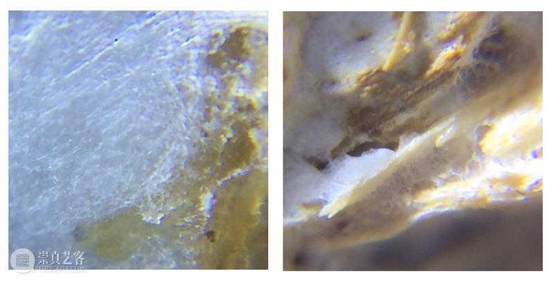 2021中国可持续设计大奖获奖作品|默然滋长:真菌复合材料性能研究与设计应用 大奖 中国 作品 真菌 复合材料 性能 北京当代艺术基金会 BCAF 国际 机构 崇真艺客