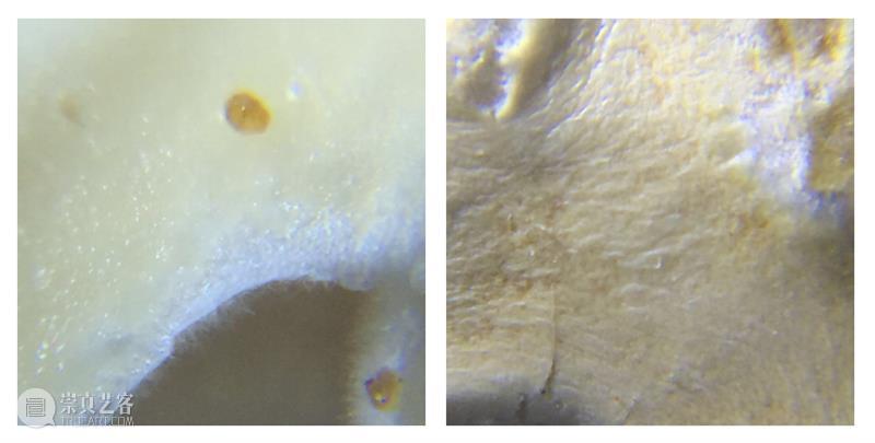 2021中国可持续设计大奖获奖作品|默然滋长:真菌复合材料性能研究与设计应用 大奖 中国 作品 真菌 复合材料 性能 北京当代艺术基金会 BCAF 国际 机构 崇真艺客