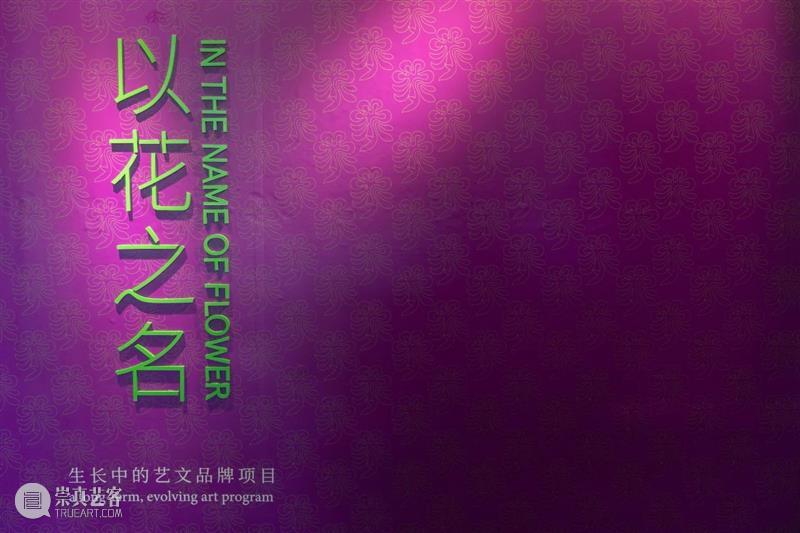 以花之名:它绽放,因它绽放 崇真艺客
