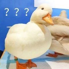《黑豹2》开拍；漫威辛普森一家联动 黑豹2 漫威 辛普森 影视 好剧 小豆 资讯 豆瓣 电影 微信 崇真艺客