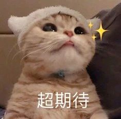 《黑豹2》开拍；漫威辛普森一家联动 黑豹2 漫威 辛普森 影视 好剧 小豆 资讯 豆瓣 电影 微信 崇真艺客
