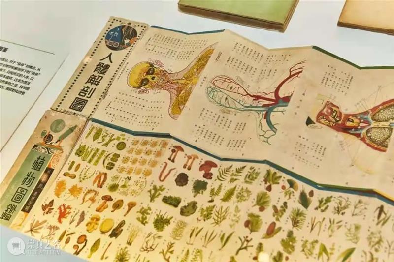 穿越时空，重回100年前的美育课堂 课堂 中国共产党 文化 时期 青年们 思想 经济 物质 时代 青年杂志 崇真艺客