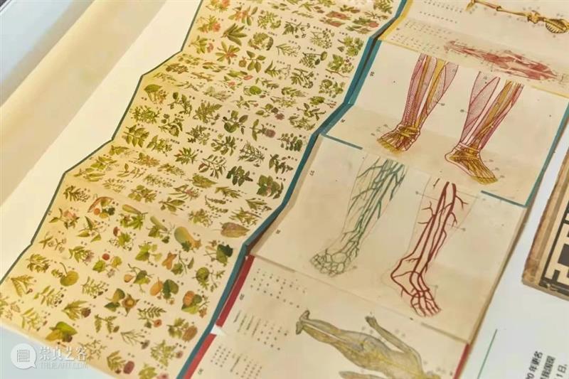 穿越时空，重回100年前的美育课堂 课堂 中国共产党 文化 时期 青年们 思想 经济 物质 时代 青年杂志 崇真艺客