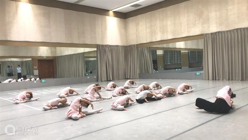 国家大剧院少儿艺术班等你来! 国家大剧院 少儿 艺术 教学 团队 体系 孩子们 小小艺术家 高雅 氛围 崇真艺客
