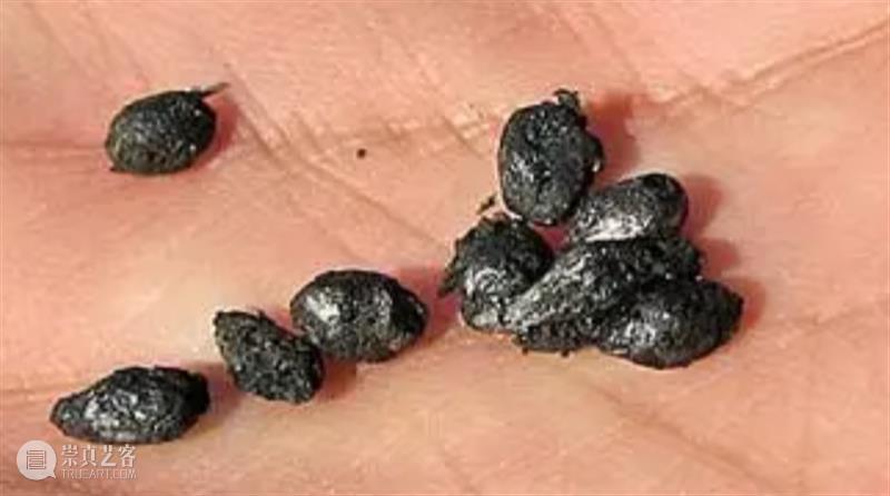 穿越回新石器时代，怎么吃饭？ 新石器时代 小说 古代 现代人 科技 古人 上帝 视角 道理 过去 崇真艺客