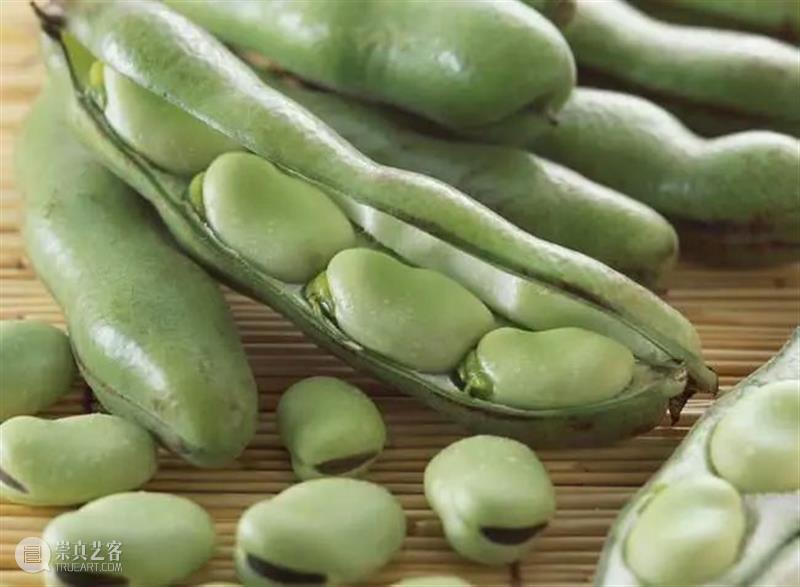 穿越回新石器时代，怎么吃饭？ 新石器时代 小说 古代 现代人 科技 古人 上帝 视角 道理 过去 崇真艺客