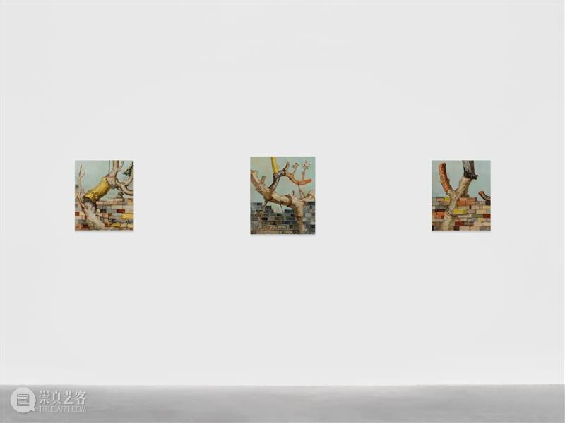 白立方中文线上展厅 | 艺荐：陈敬元（Chen Ching-Yuan） Ching 立方 中文 线上 展厅 艺荐 陈敬元 Yuan detail 油画 崇真艺客