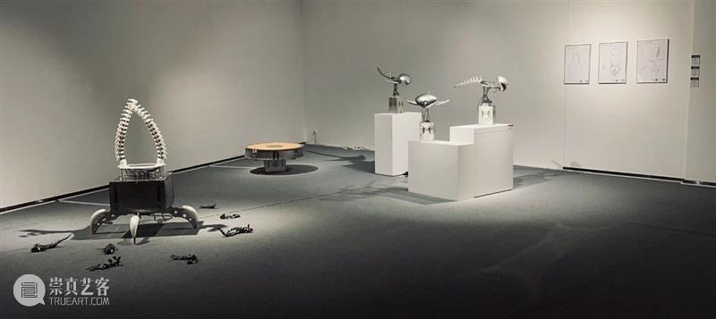 ABI青推|艺术家 滕家琪 滕家琪 艺术家 ABI青 热爱生机盎然 系列 作品 缘起 创造力 一个观念 艺术 崇真艺客