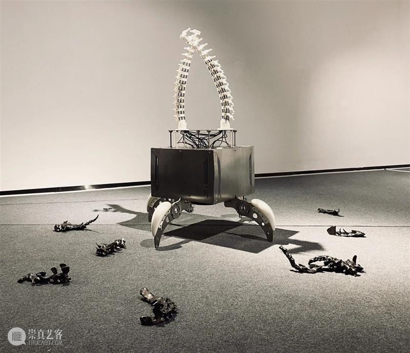 ABI青推|艺术家 滕家琪 滕家琪 艺术家 ABI青 热爱生机盎然 系列 作品 缘起 创造力 一个观念 艺术 崇真艺客