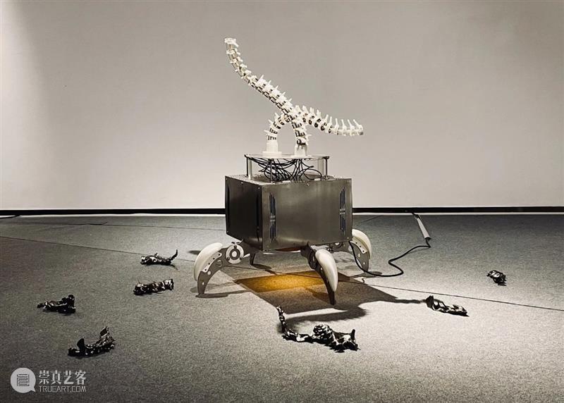 ABI青推|艺术家 滕家琪 滕家琪 艺术家 ABI青 热爱生机盎然 系列 作品 缘起 创造力 一个观念 艺术 崇真艺客