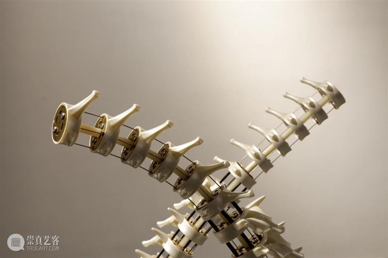 ABI青推|艺术家 滕家琪 滕家琪 艺术家 ABI青 热爱生机盎然 系列 作品 缘起 创造力 一个观念 艺术 崇真艺客