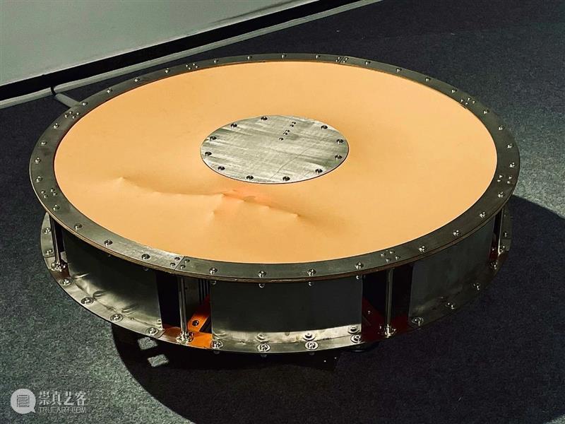 ABI青推|艺术家 滕家琪 滕家琪 艺术家 ABI青 热爱生机盎然 系列 作品 缘起 创造力 一个观念 艺术 崇真艺客